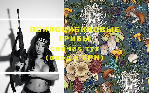 стафф Алзамай