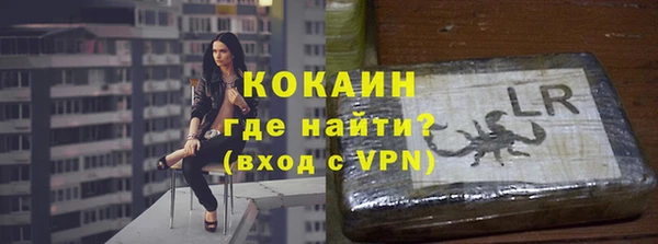 стаф Алексин