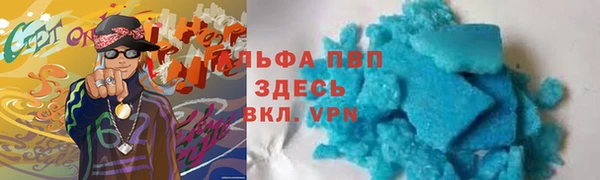 стаф Алексин
