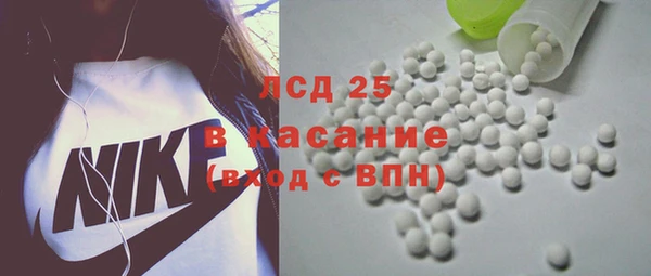 стаф Алексин