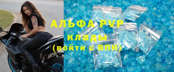 стаф Алексин