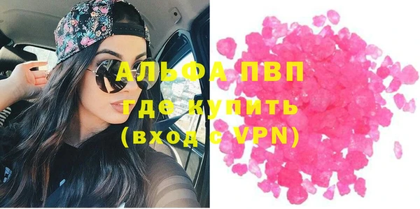 стафф Алзамай