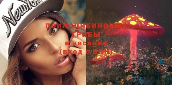 стаф Алексин